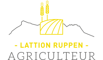 Odoo • a photo with a caption