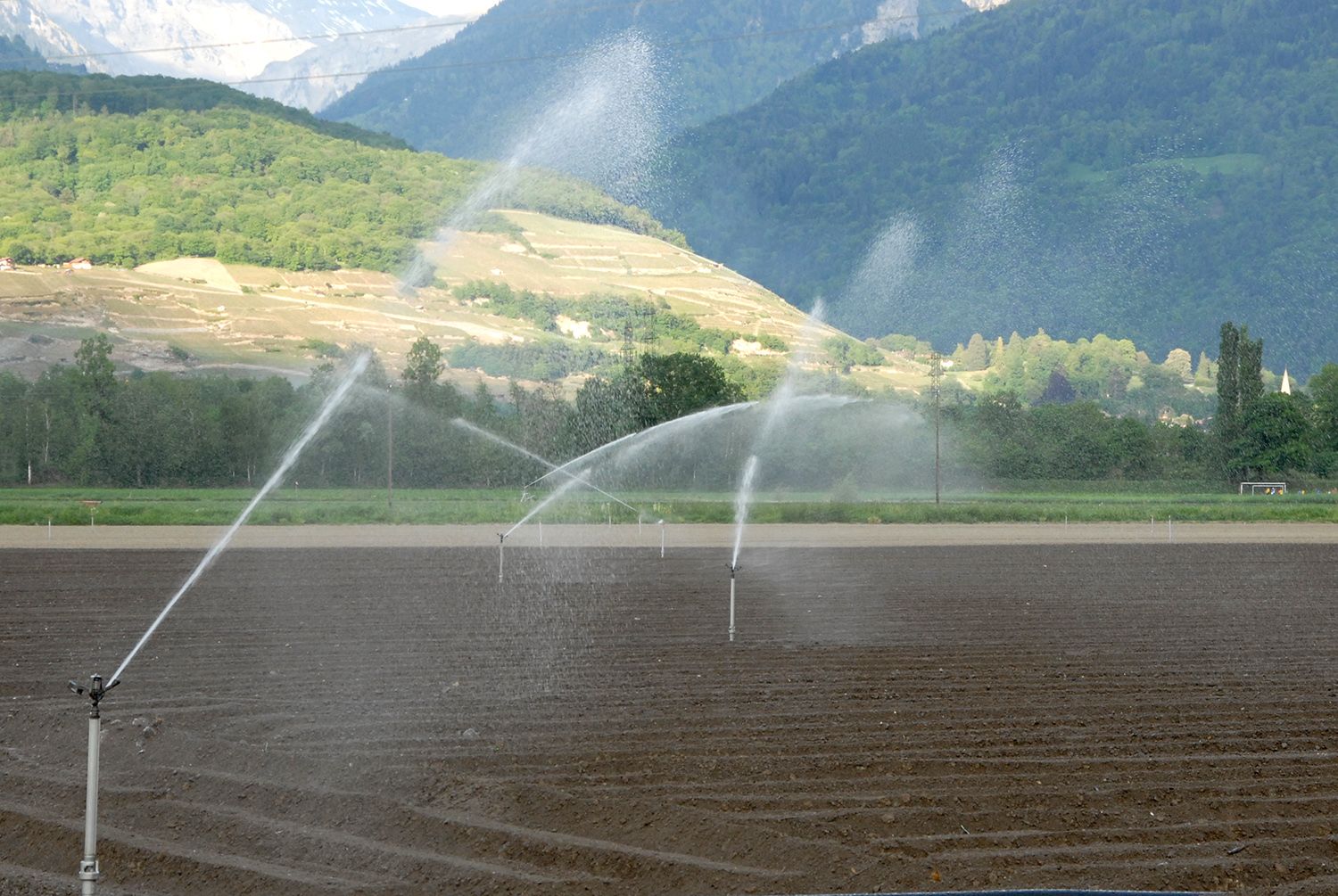 Odoo • Image et Texte