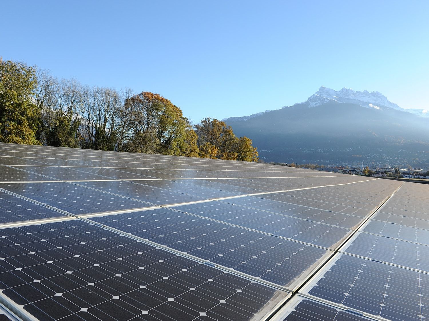 Odoo • Texte et Image